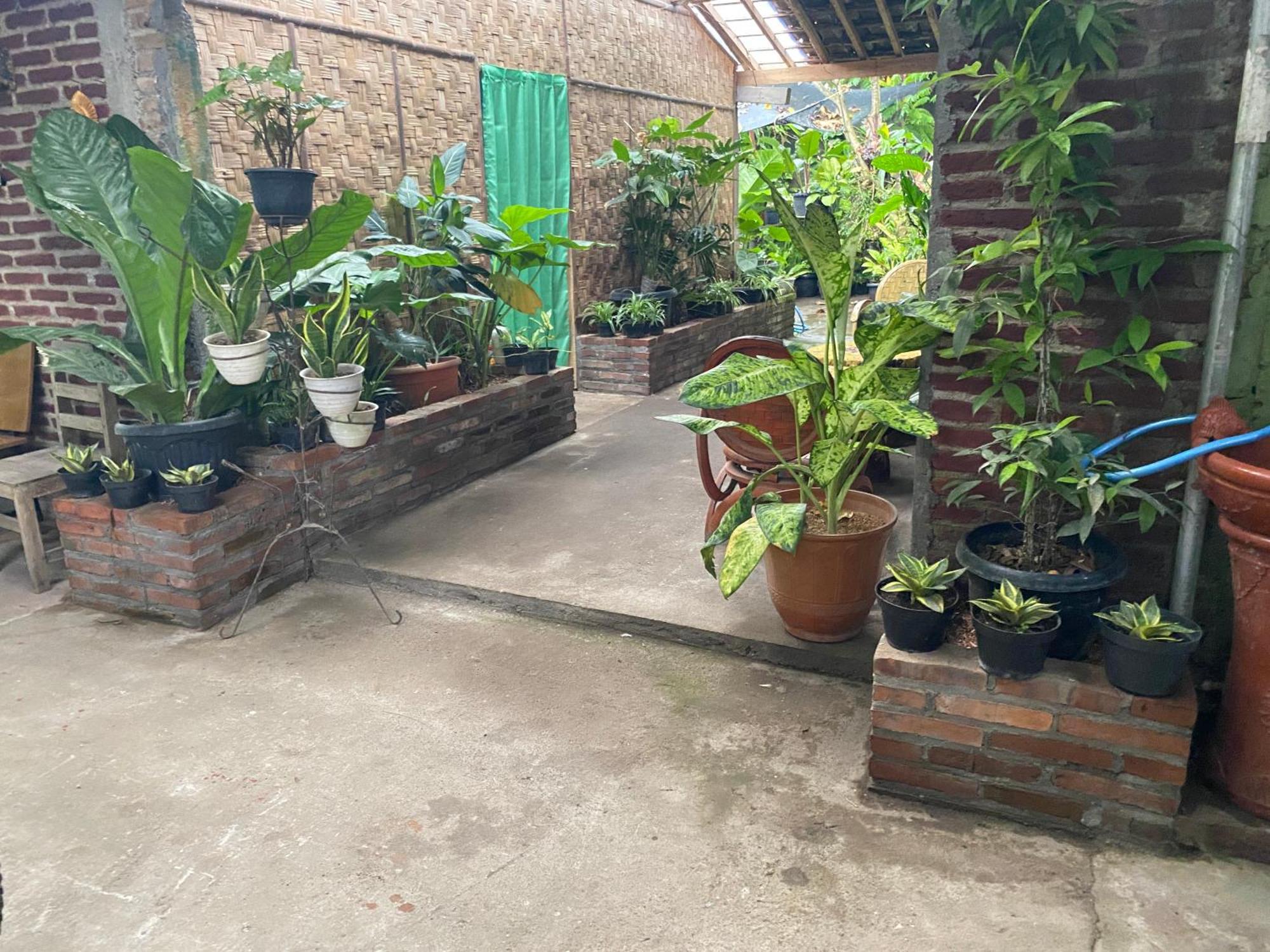 Ada Homestay Магеланг Экстерьер фото