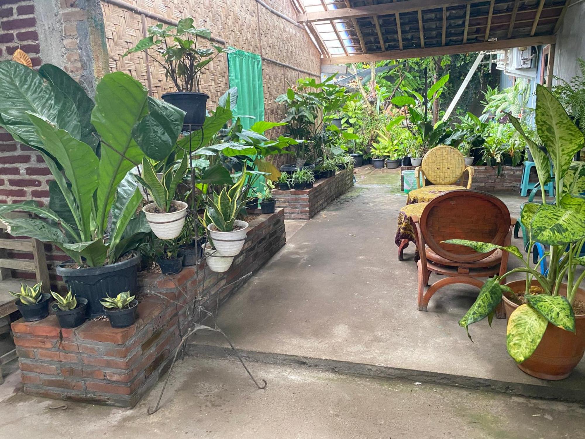 Ada Homestay Магеланг Экстерьер фото
